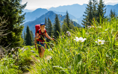 Steile Zähne und sanfte Täler in den Ammergauer Alpen