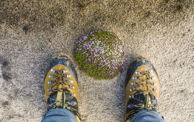 Bergschuhe: Darauf müsst ihr beim Kauf achten!