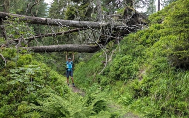 Wanderung zur Gamshütte in den Zillertaler Alpen