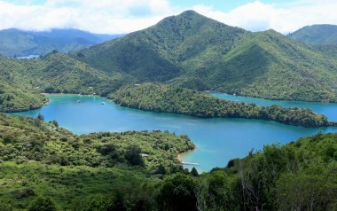 Te Araroa Trail: Queen Charlotte Track