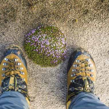 Bergschuhe: Darauf müsst ihr beim Kauf achten!