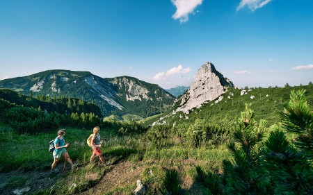 Transalp weiß-blau