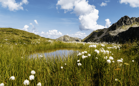 Alpenmosaik Montafon