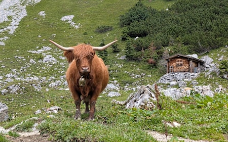 Fotowettbewerb "Tierische Begegnungen" - Jetzt Bilder einreichen!