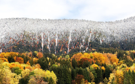 ALPIN-PICs im September: Die Siegerbilder des Fotowettbewerbs "Herbst" 