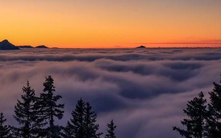 ALPIN-PICs im November: "Berge im Nebel"