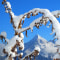 Ein winterlicher Bilderrahmen für die Üntschenspitze