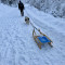 Pfoten im Schnee: Ein treuer Begleiter auf Bergpfaden
