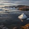 Eisberge im Sermilikfjord