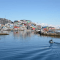 Maniitsoq