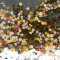 Herbstlaub-Mosaik