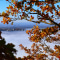 Blick vom Lilienstein zur Festung Königstein