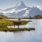 Bis 25.08.24 Bilder zum Thema "Wasser marsch: Bergseen, Flüsse, Bäche, Wasserfälle" hochladen!