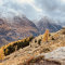 Herbst Im Ahrntal