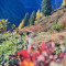 Herbstzauber im Ötztal