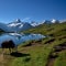 Schweizer Alpenidylle am Bachalssee