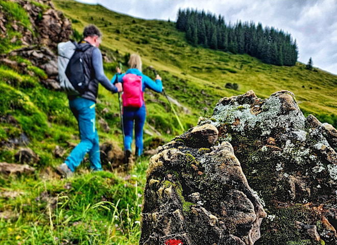 <p>Sanfte Wald- und Almwiesenwanderung: auf der Etappe 13 des "Pinzga Hatscha" von Saalbach nach Leogang.</p>