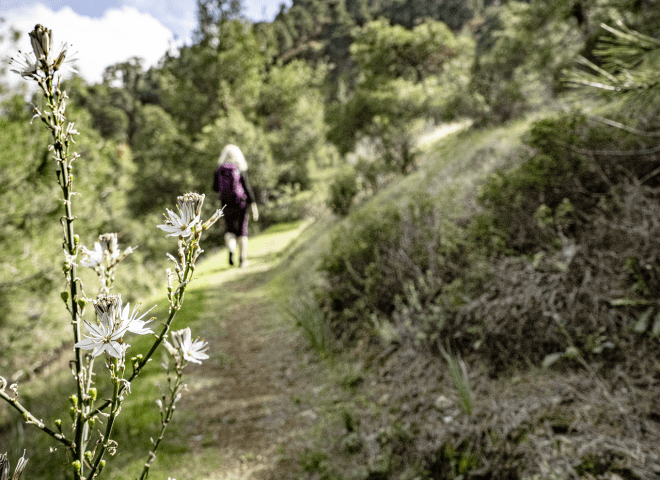 <p>Wandern im Troodos-Gebirge</p>