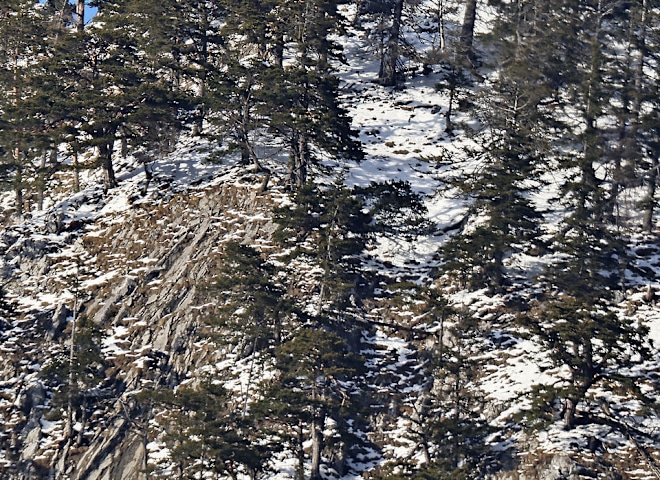 <p>Rettungshelikopter im Einsatz</p>