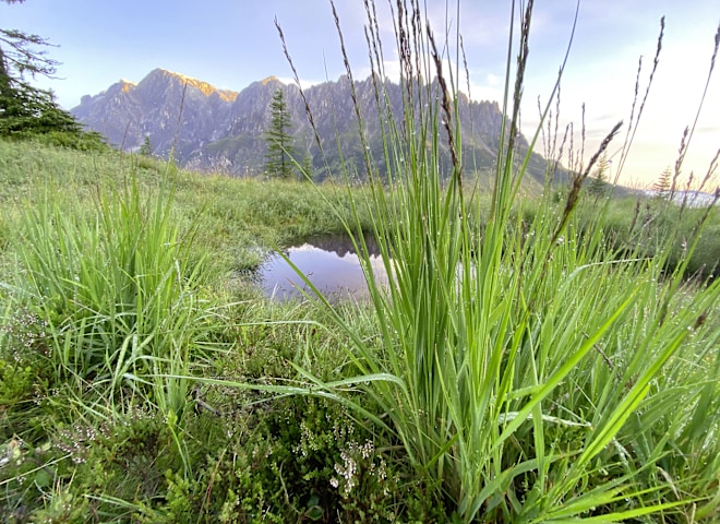 <p>Der Hochkönig im Blick.</p>