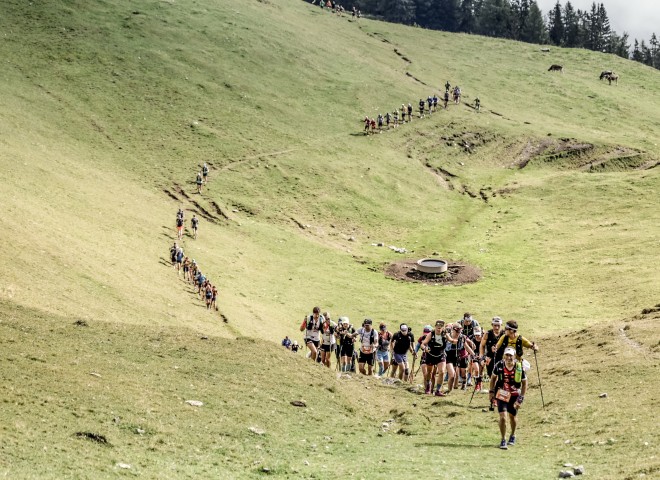 <p>    Läufer:innen beim Transalpine Run 2022</p>