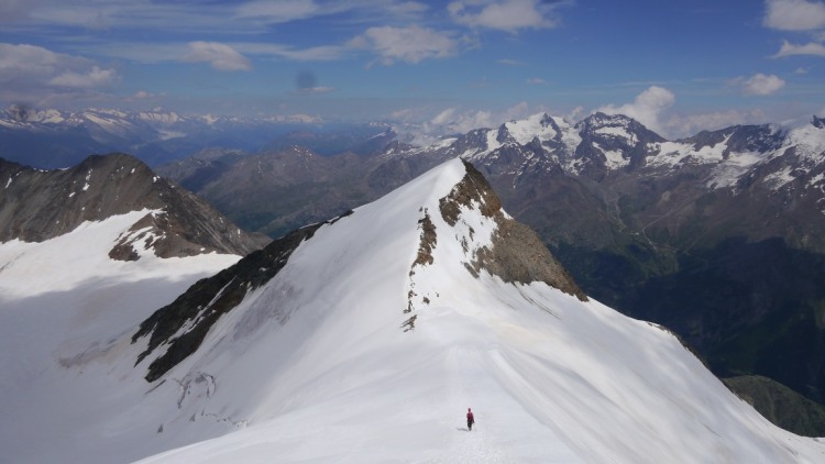 Das Ulrichshorn