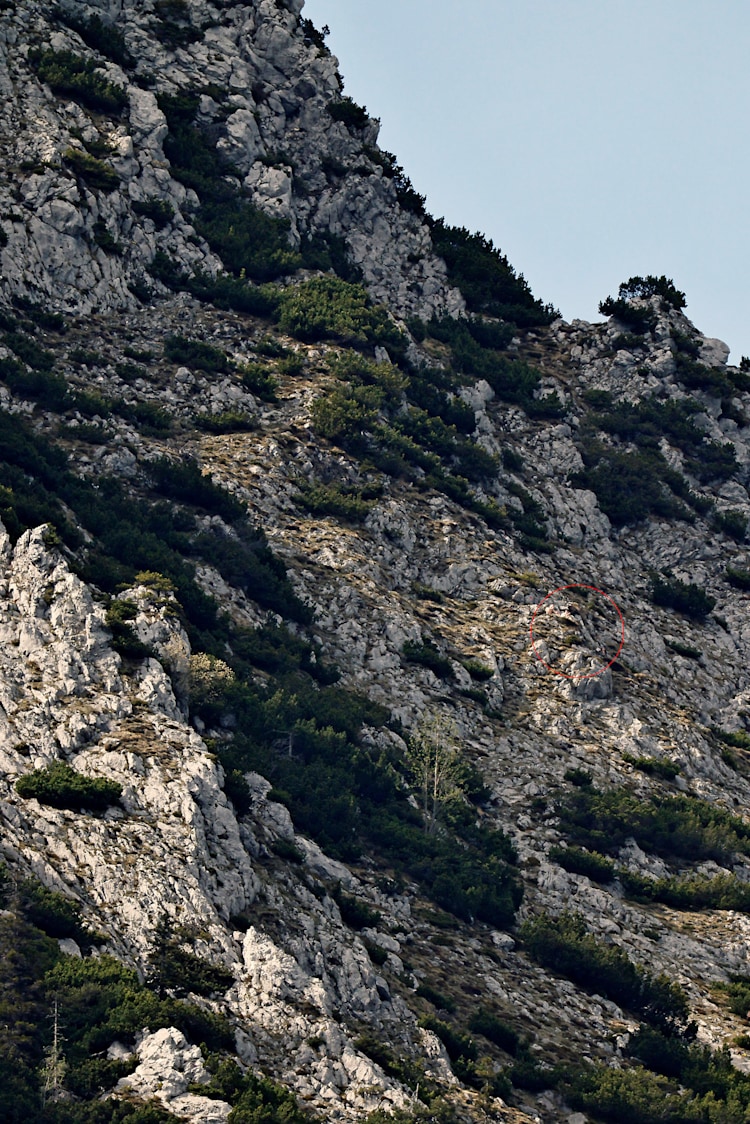 <p>Blick auf die Einsatzstelle (roter Kreis).</p>