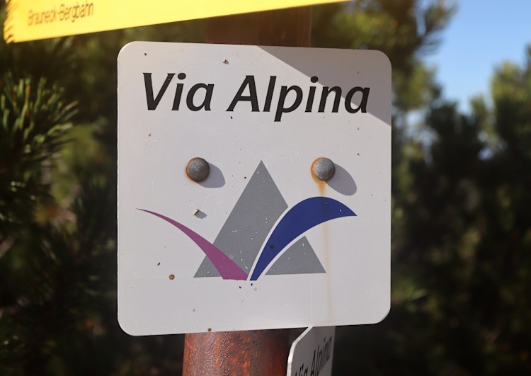 <p>Das Zeichen der Via Alpina.</p>