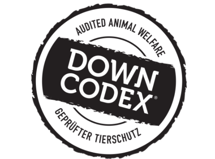 <p>Das Down-Codex-Logo</p>