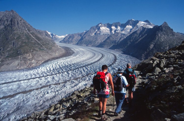 Einmaliges Panorama: Wanderer oberhalb des Aletschgletschers (Foto: picture-alliance.com).