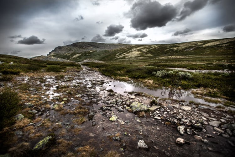 Wildnis: Der Nationalpark Dovfrefjell in Norwegen.