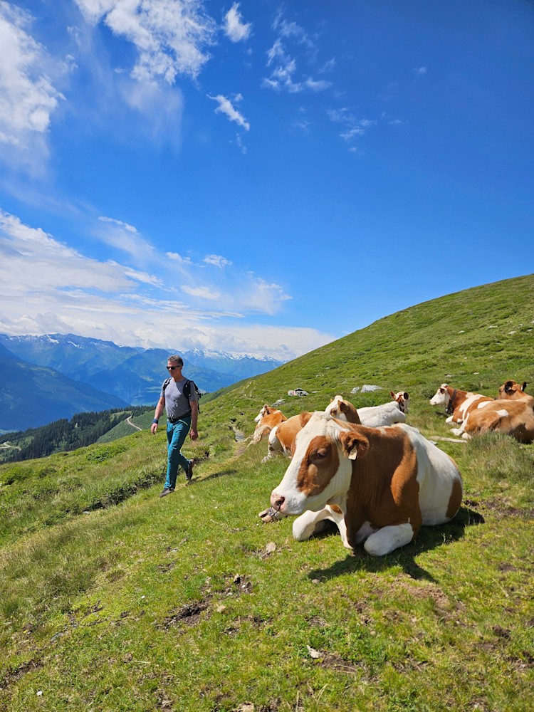 <p>In aussichstreichem Almengebiet: auf dem "Pinzgauer Spaziergang".</p>