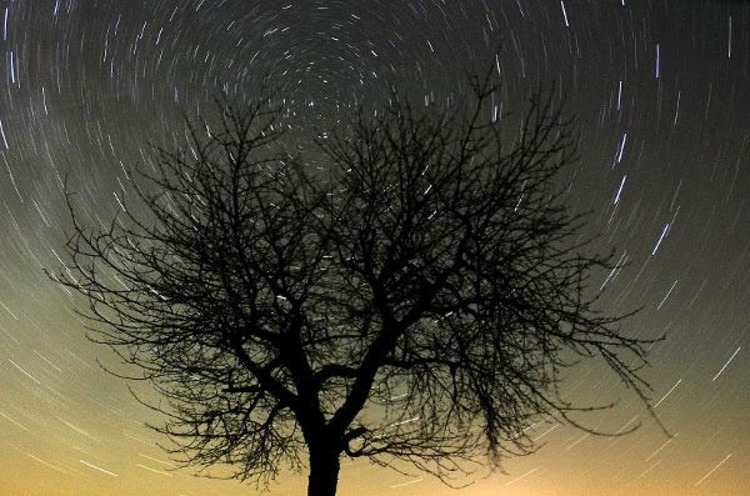 Sterne als Striche: Nachtaufnahme mit Langzeitbelichtung des Sternenhimmels. Bild: dpa.
