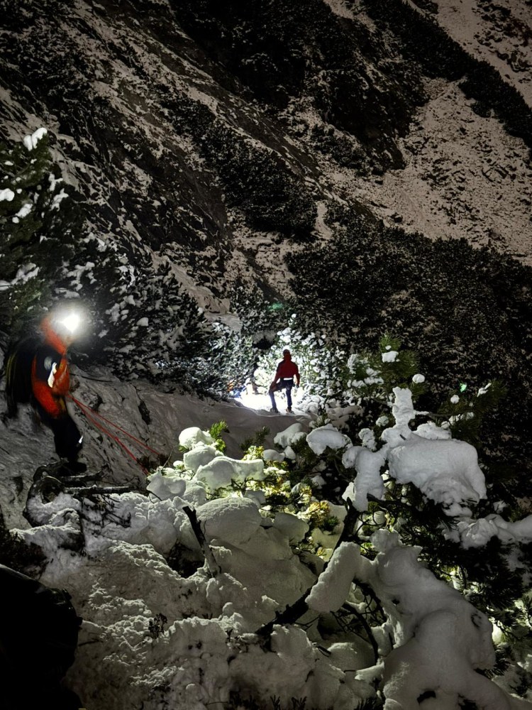 <p>Aufnahme des Sucheinsatzes.</p>