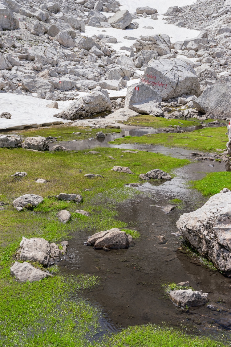<p>Quellen des Lebens: An den Teicheln fließt noch Wasser. </p>