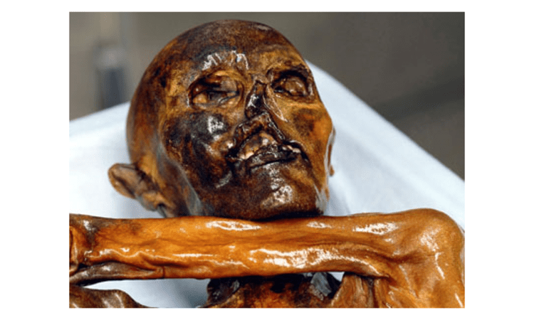 Vielen besser als "Ötzi" bekannt: Der "Mann vom Similaun".