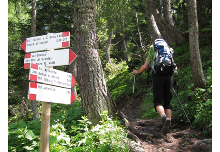 Wer nicht mit der Bergbahn startet, beginnt im Vallesinella (Foto: Astrid Neudecker).