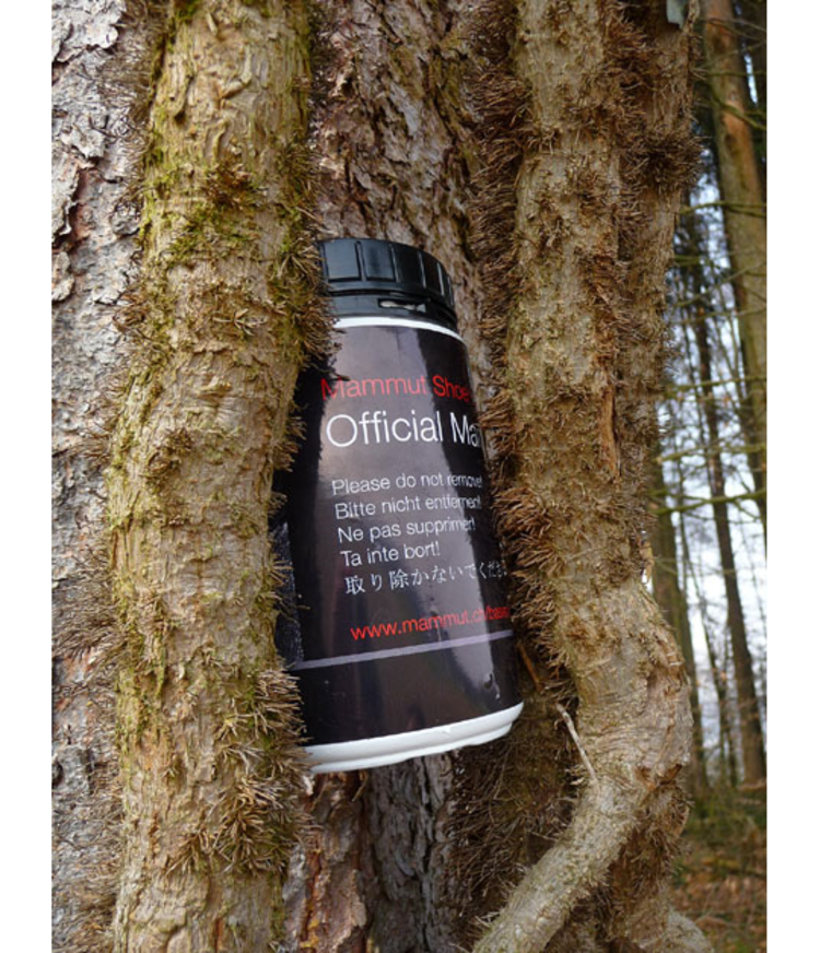 Dieser Baum sieht irgendwie anders aus.