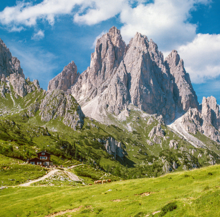<p>Auf dem Dolomiten-Höhenweg 4. </p>