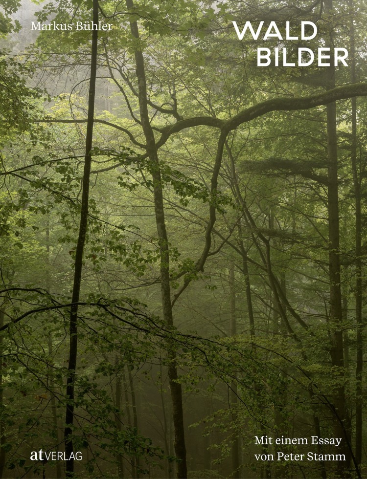 <p>Markus Bühler: Waldbilder</p>