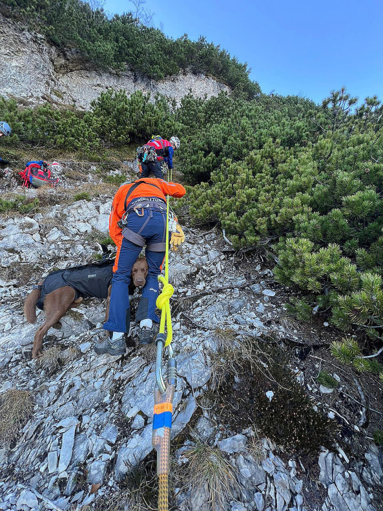 <p>Bergwacht und Bergrettung im Einsatz</p>