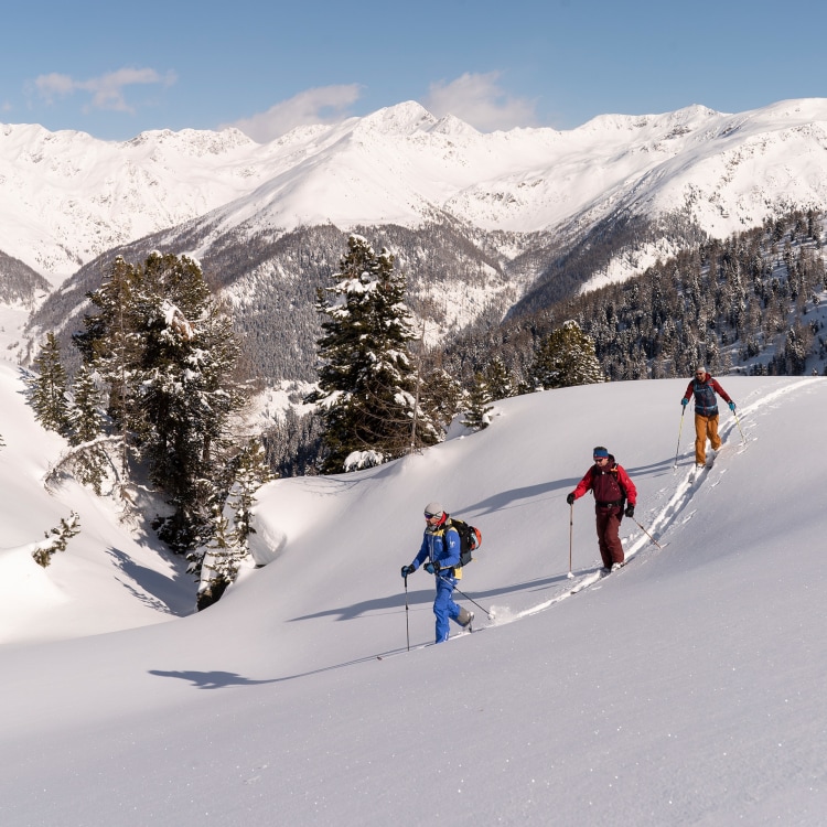 <p>Perfekt geführt: Skitourengruppe mit Bergführer im Villgratental.</p>