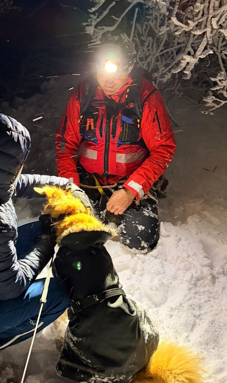 <p>Nach&nbsp;drei&nbsp;Stunden&nbsp;war&nbsp;das&nbsp;Tier&nbsp;gerettet.</p>