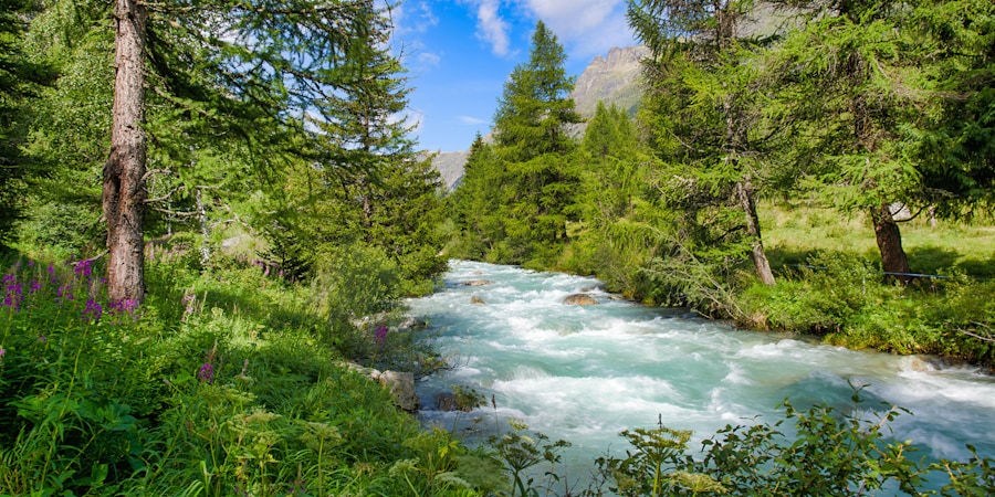 Die wichtigsten Alpenflüsse Europas