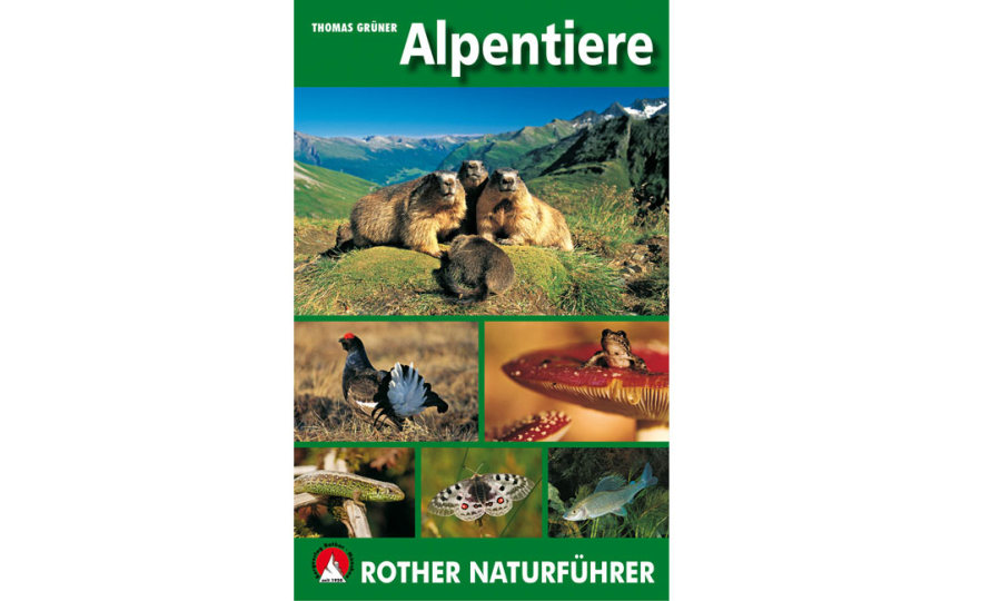 <p>Thomas Grüner: Alpentiere</p>