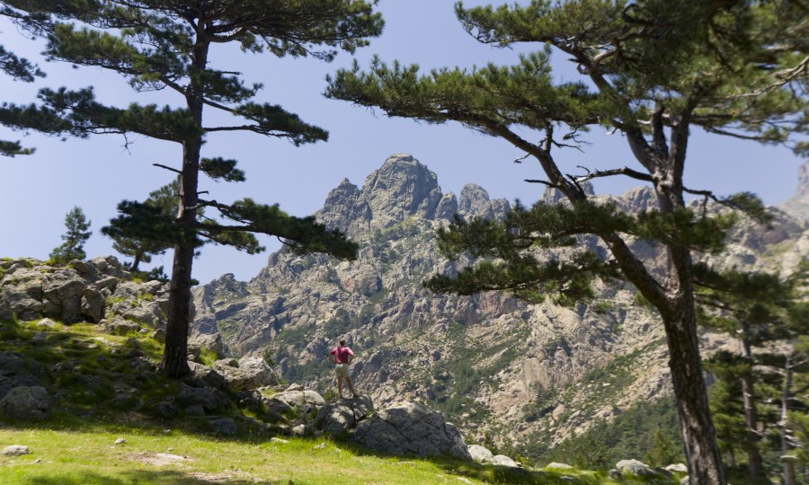 <p>Korsika: Am Col de Bavella</p>