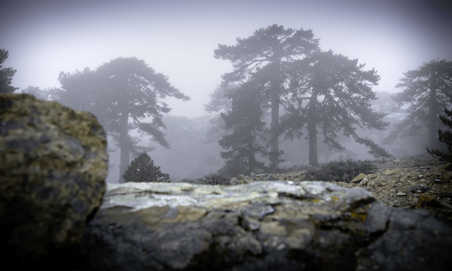 <p>Im Nebel: Olympos, der höchste Berg Zyperns.</p>