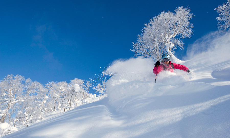 <p>Powder während der gesamten Abfahrt. Naja, man wird ja wohl träumen dürfen ...</p>