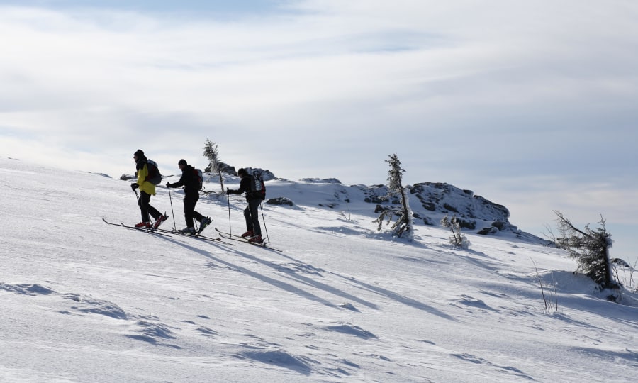 <p>Der Arber ist für ambitionierte Skibergsteiger Pflicht, wenn sie im Bayerischen Wald unterwegs sind. </p>