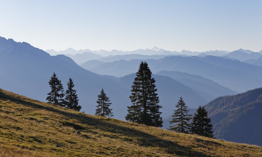 <p>Herbstliche Ausblicke am Brünnstein in die Hohen Tauern</p>